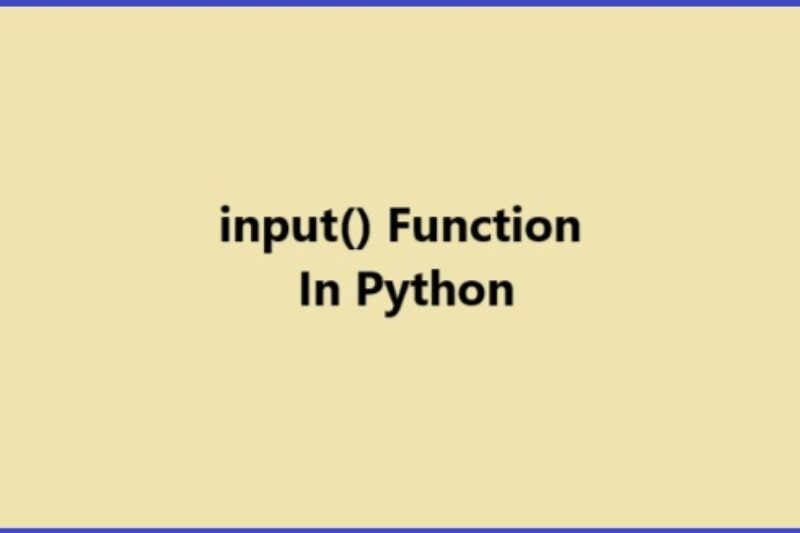 Python input(): What is the input() function in Python?